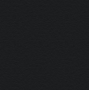 Meet your Posher, Britlee